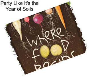 Party Like It\'s the Year of Soils