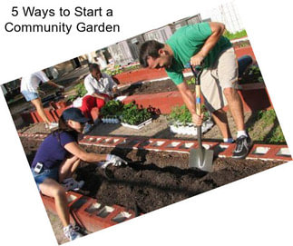 5 Ways to Start a Community Garden