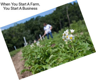 When You Start A Farm, You Start A Business