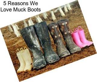5 Reasons We Love Muck Boots