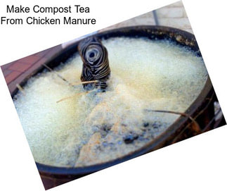 Make Compost Tea From Chicken Manure