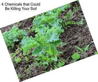 4 Chemicals that Could Be Killing Your Soil