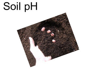 Soil pH