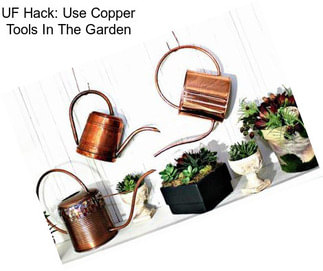 UF Hack: Use Copper Tools In The Garden