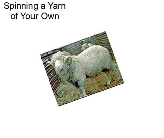 Spinning a Yarn of Your Own