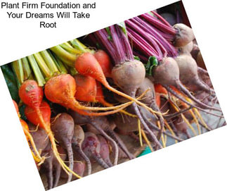 Plant Firm Foundation and Your Dreams Will Take Root