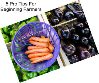 5 Pro Tips For Beginning Farmers