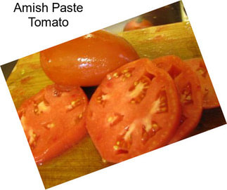 Amish Paste Tomato