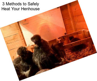 3 Methods to Safely Heat Your Henhouse