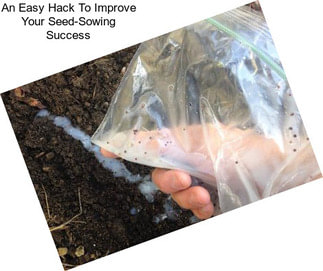 An Easy Hack To Improve Your Seed-Sowing Success