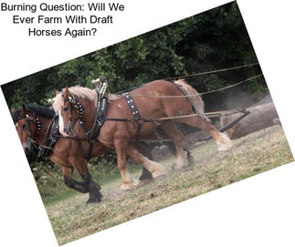 Burning Question: Will We Ever Farm With Draft Horses Again?