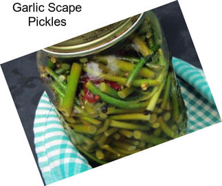 Garlic Scape Pickles