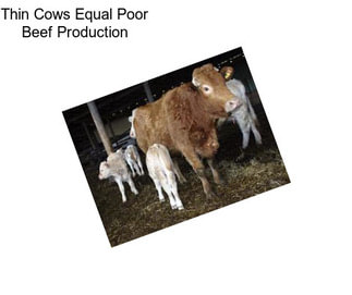 Thin Cows Equal Poor Beef Production
