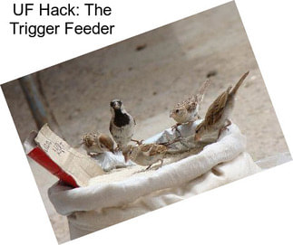 UF Hack: The Trigger Feeder