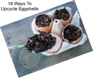 18 Ways To Upcycle Eggshells