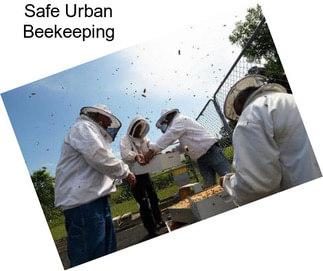 Safe Urban Beekeeping
