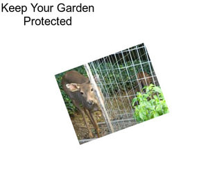 Keep Your Garden Protected