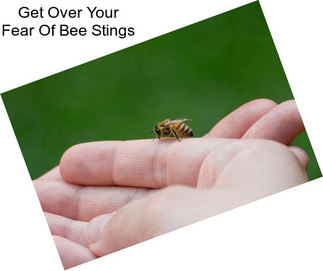 Get Over Your Fear Of Bee Stings