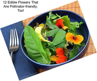 12 Edible Flowers That Are Pollinator-friendly, Too!