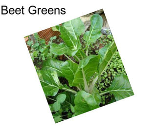 Beet Greens