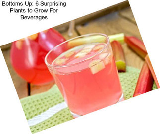 Bottoms Up: 6 Surprising Plants to Grow For Beverages