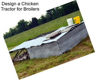 Design a Chicken Tractor for Broilers