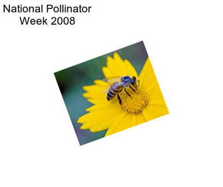 National Pollinator Week 2008