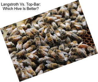 Langstroth Vs. Top-Bar: Which Hive Is Better?