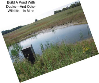 Build A Pond With Ducks—And Other Wildlife—In Mind