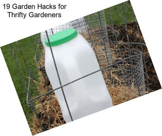 19 Garden Hacks for Thrifty Gardeners