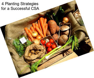 4 Planting Strategies for a Successful CSA