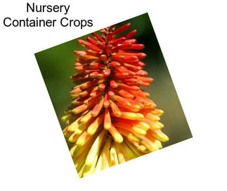 Nursery Container Crops