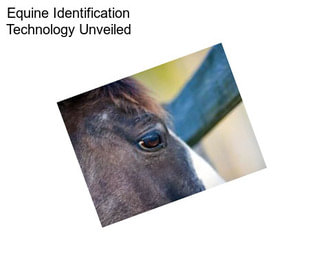 Equine Identification Technology Unveiled