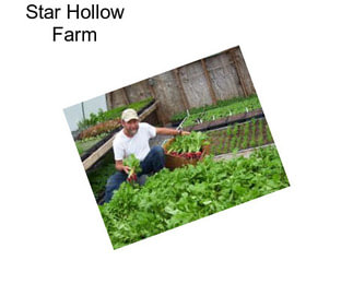 Star Hollow Farm