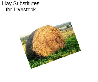 Hay Substitutes for Livestock