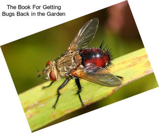 The Book For Getting Bugs Back in the Garden