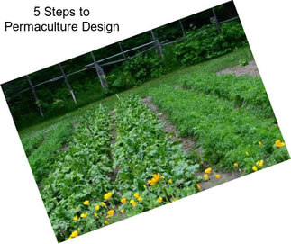 5 Steps to Permaculture Design