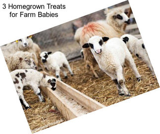 3 Homegrown Treats for Farm Babies