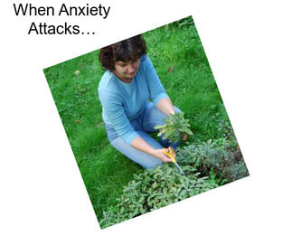 When Anxiety Attacks…
