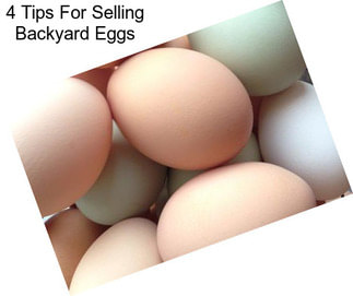4 Tips For Selling Backyard Eggs