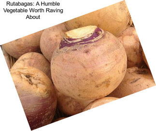 Rutabagas: A Humble Vegetable Worth Raving About