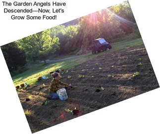 The Garden Angels Have Descended—Now, Let\'s Grow Some Food!