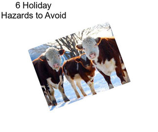 6 Holiday Hazards to Avoid