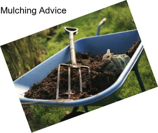 Mulching Advice