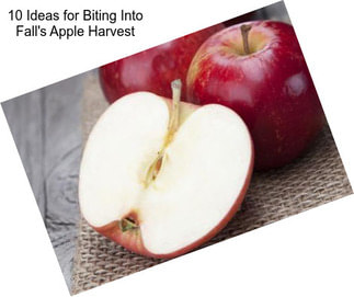 10 Ideas for Biting Into Fall\'s Apple Harvest