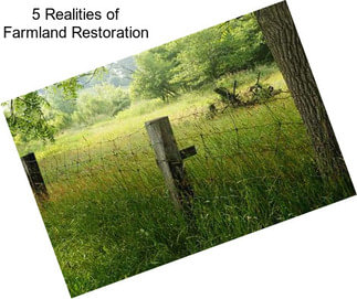 5 Realities of Farmland Restoration