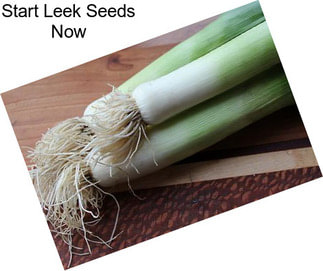 Start Leek Seeds Now