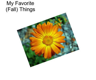 My Favorite (Fall) Things