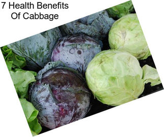 7 Health Benefits Of Cabbage