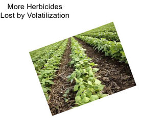 More Herbicides Lost by Volatilization